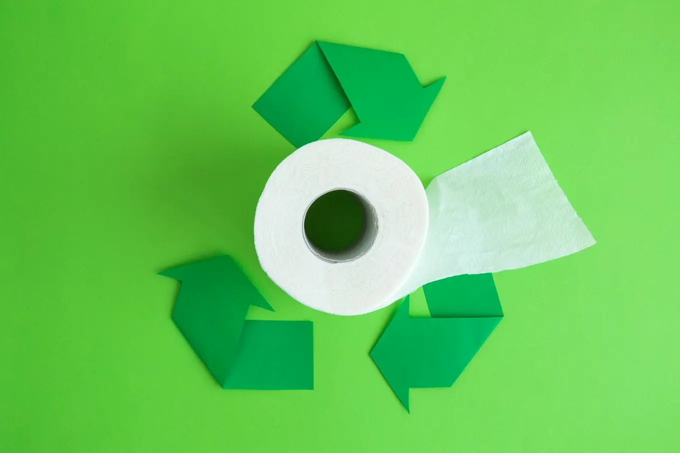 papier toaletowy z recyklingu